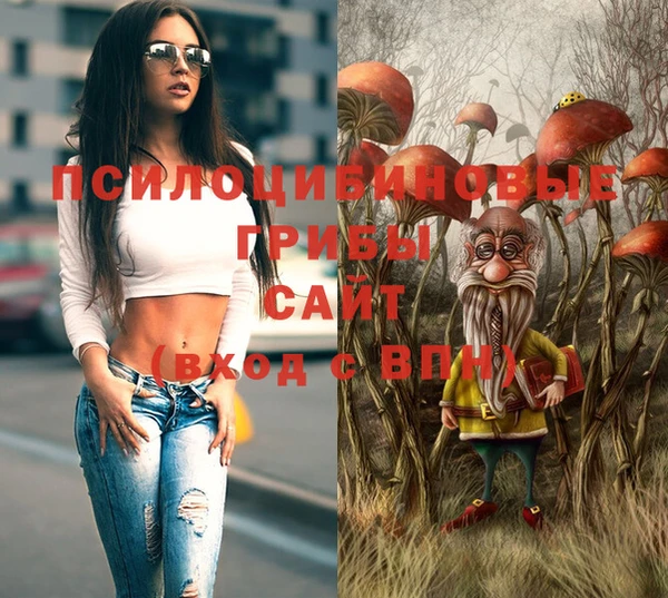 таблы Верея
